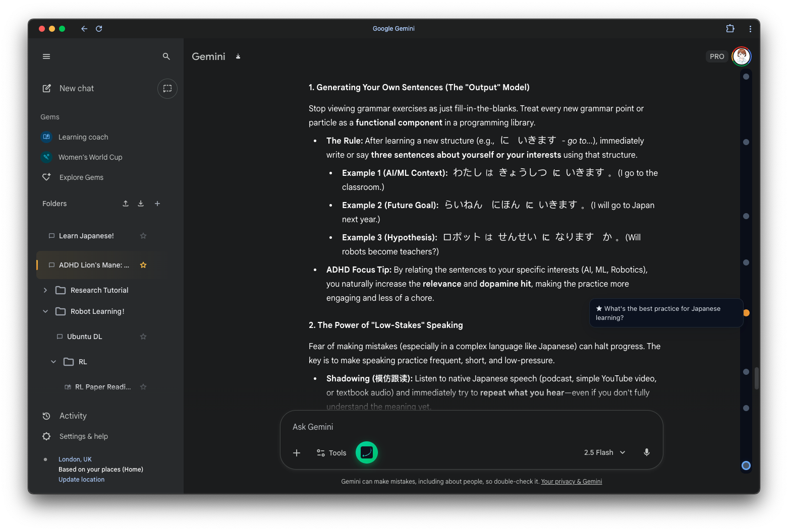 Gemini Voyager Interface